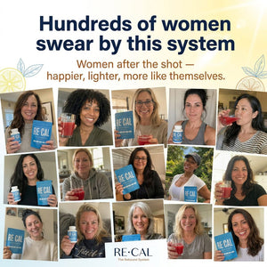 The RECAL System