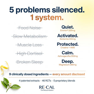 The RECAL System