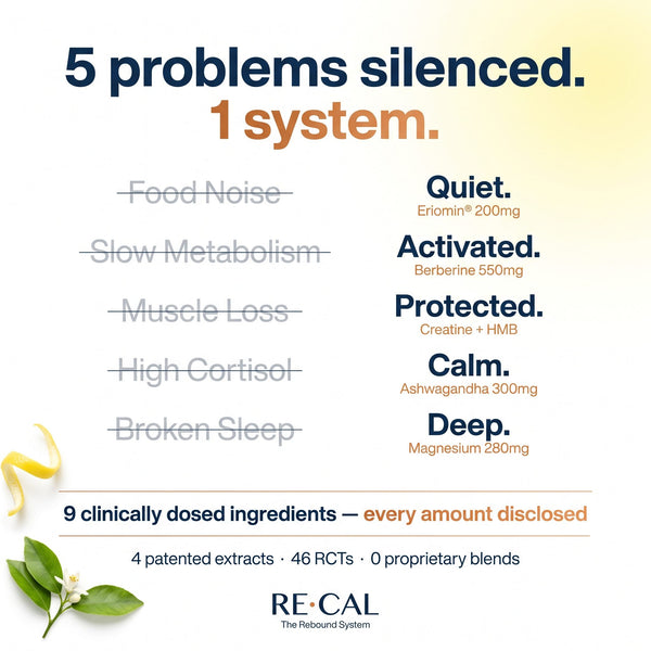 The RECAL System